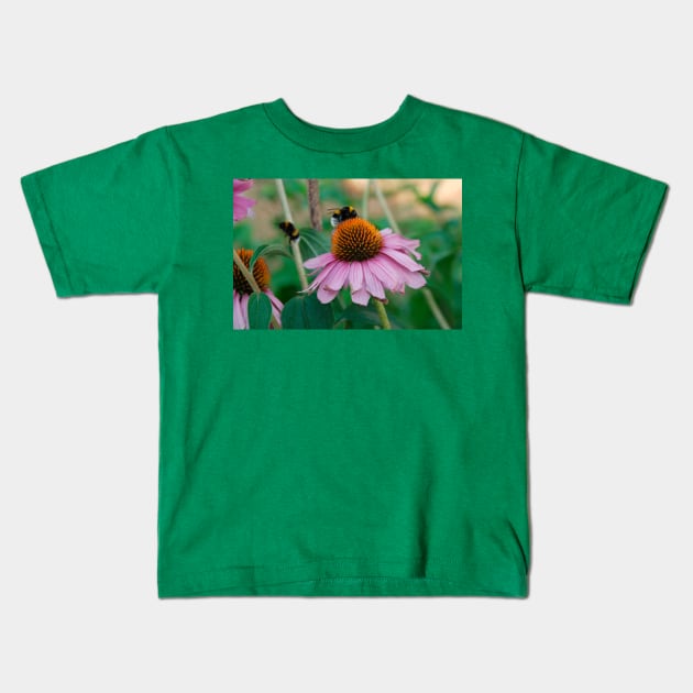 Echinacea Purpurea with Bees Kids T-Shirt by jojobob